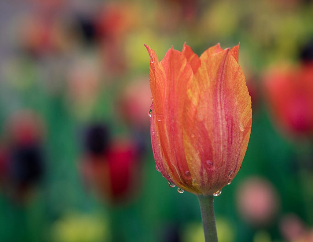 It's time for fresh spring sales!